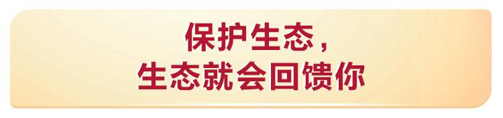 开云网址春风又绿江南岸习在浙江考察纪实(图7)