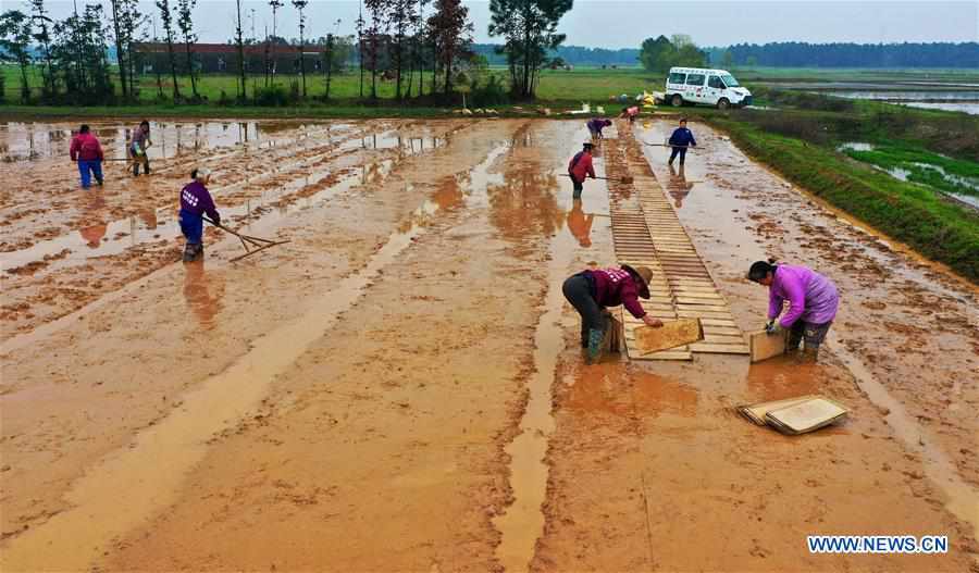 #CHINA-SPRING-FARMING (CN)