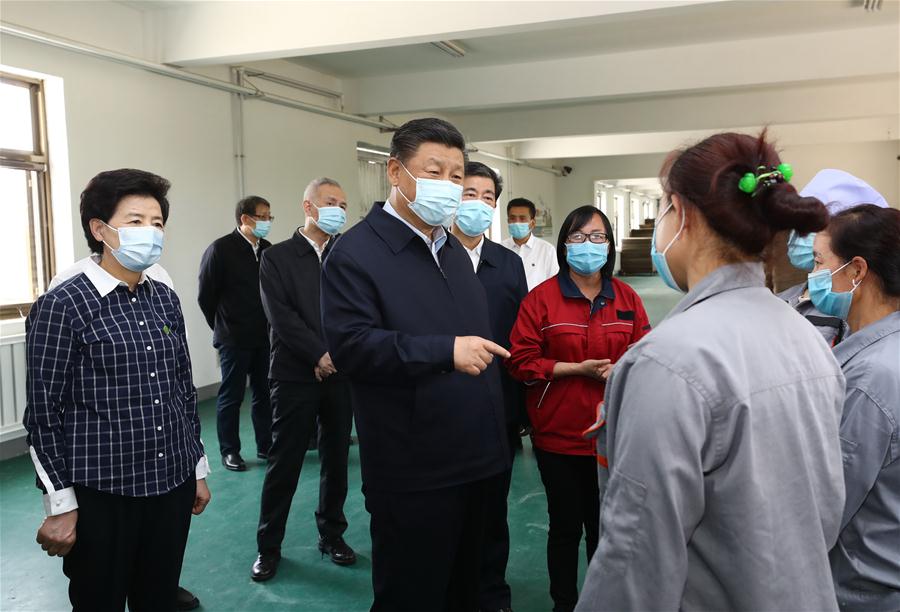 CHINA-NINGXIA-XI JINPING-INSPECTION (CN)