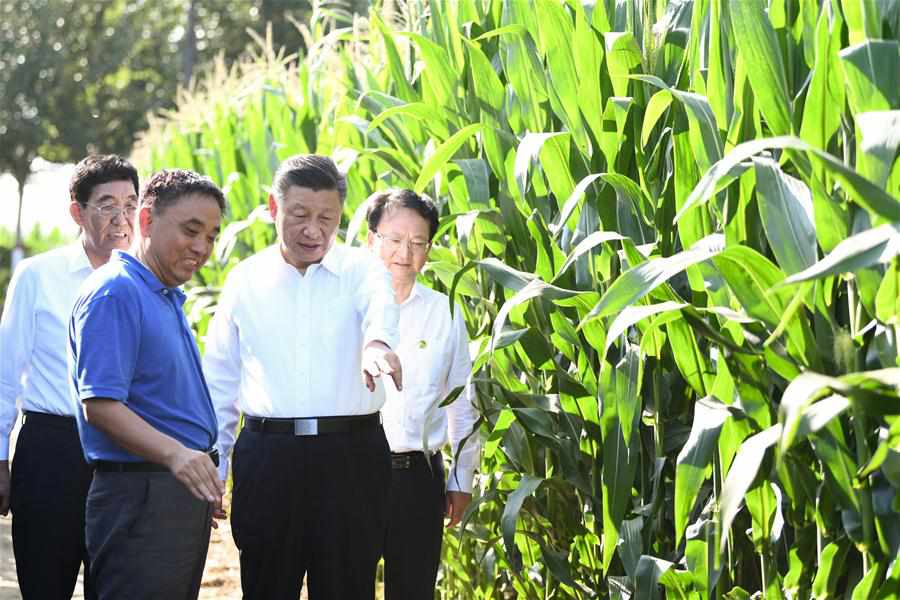 CHINA-JILIN-XI JINPING-INSPECTION (CN)