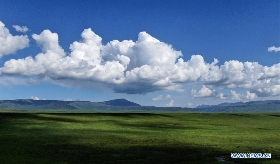 CHINA-QINGHAI-GRASSLANDS-SCENERY (CN)