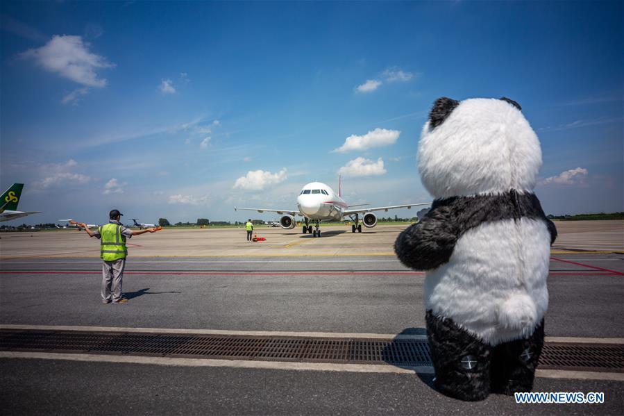 CHINA-JIANGSU-YANGZHOU-GIANT PANDA-TRANSFER (CN)