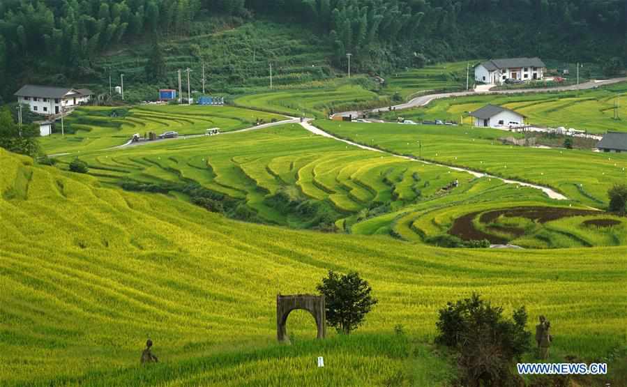 CHINA-JIANGXI-TERRACED FIELDS-SCENERY (CN)