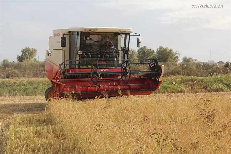 KAZAKHSTAN-CHINA-COMBINE HARVESTER