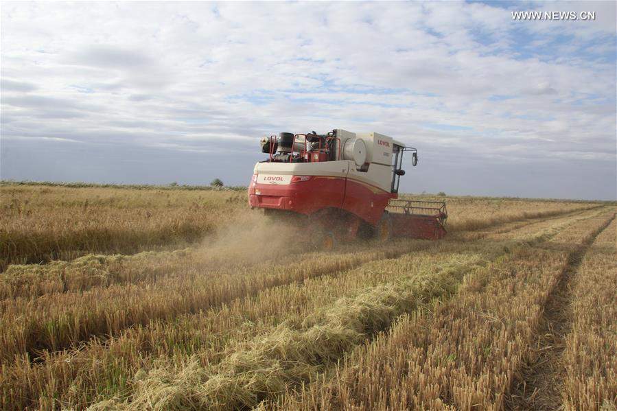 KAZAKHSTAN-CHINA-COMBINE HARVESTER