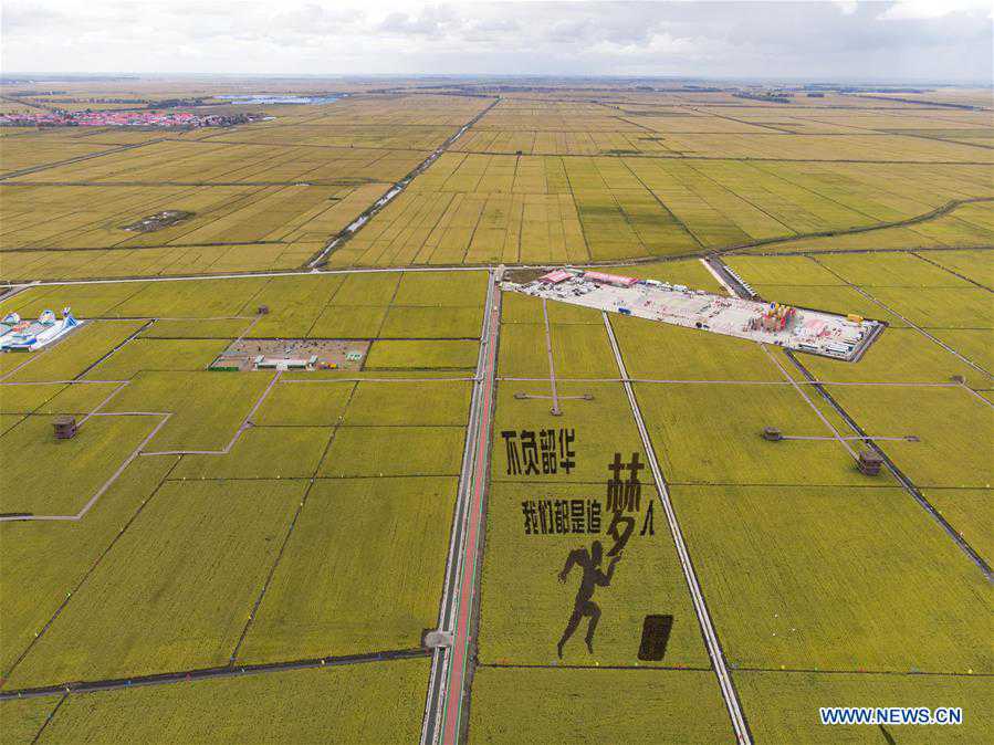 CHINA-HEILONGJIANG-FUJIN-PADDY FIELDS-HARVEST (CN)