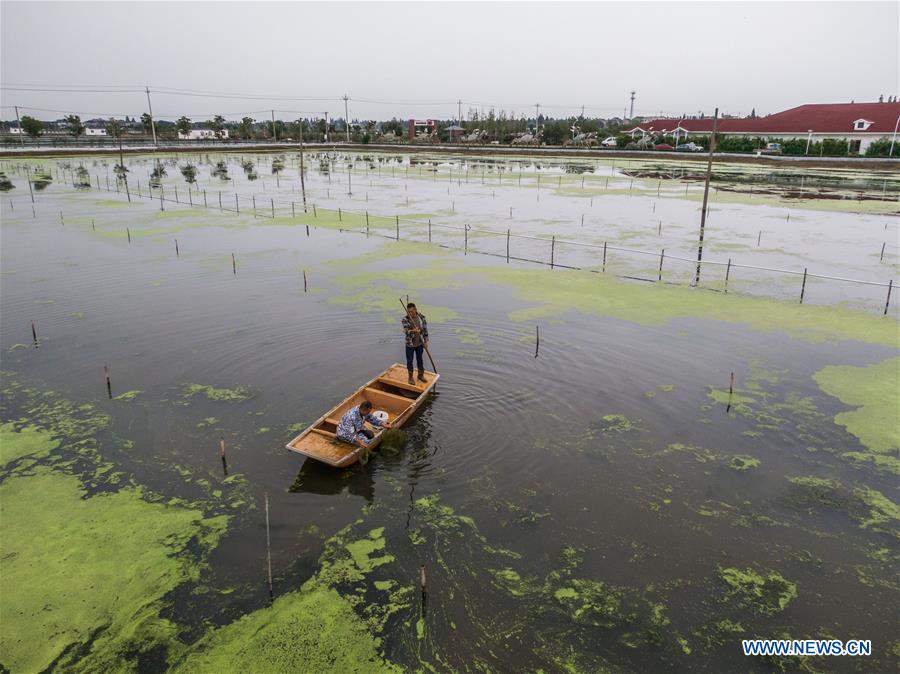 CHINA-ZHEJIANG-HUZHOU-CRAB-HARVEST (CN)