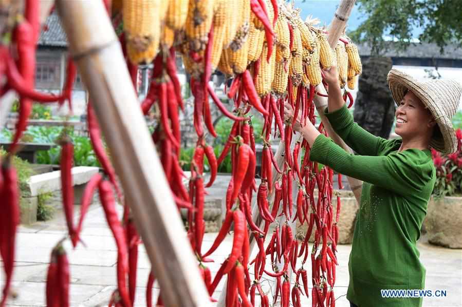 CHINA-ANHUI-CROPS-AIRING (CN)