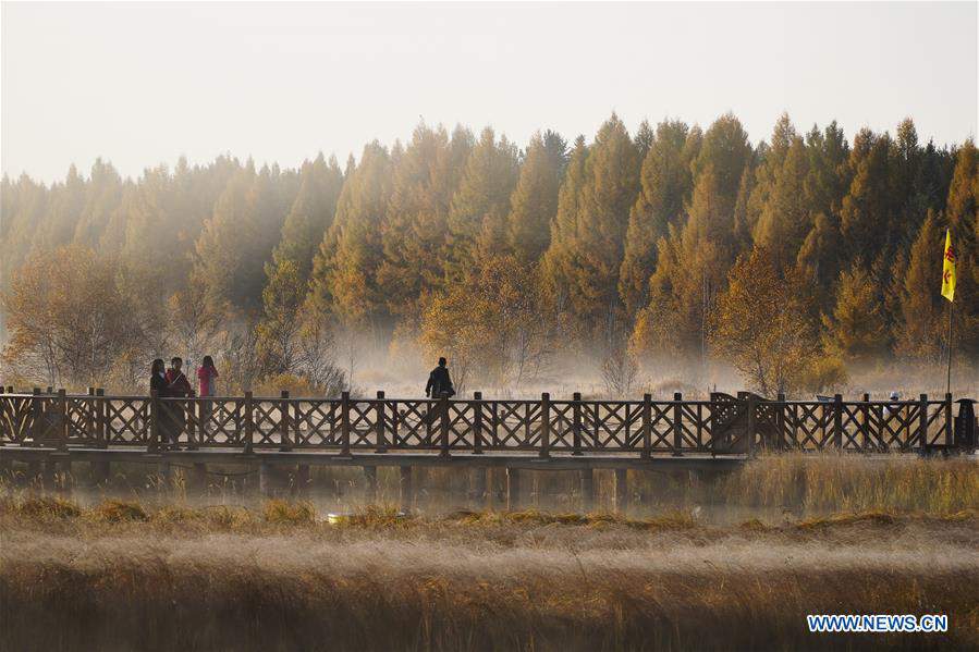 #CHINA-HEBEI-SAIHANBA-AUTUMN (CN)