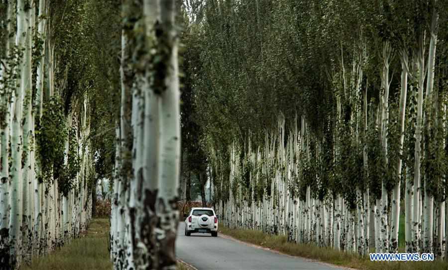 CHINA-SHAANXI-JINGBIAN-ECO-ENVIRONMENT (CN)