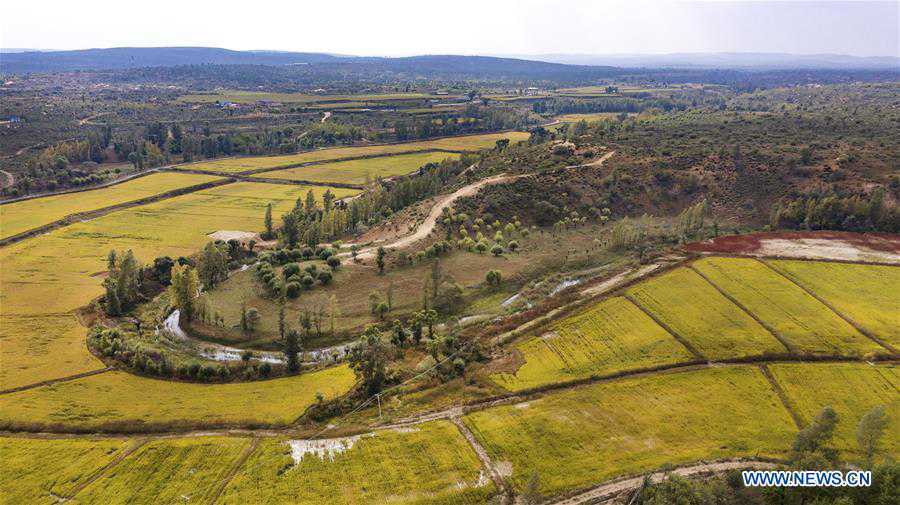 CHINA-SHAANXI-JINGBIAN-ECO-ENVIRONMENT (CN)