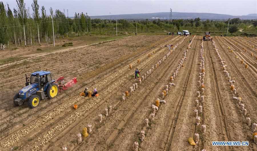 CHINA-SHAANXI-JINGBIAN-ECO-ENVIRONMENT (CN)