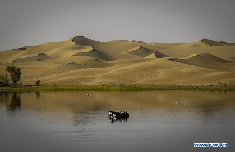 CHINA-XINJIANG-TIANSHAN MOUNTAINS-HARVEST (CN)