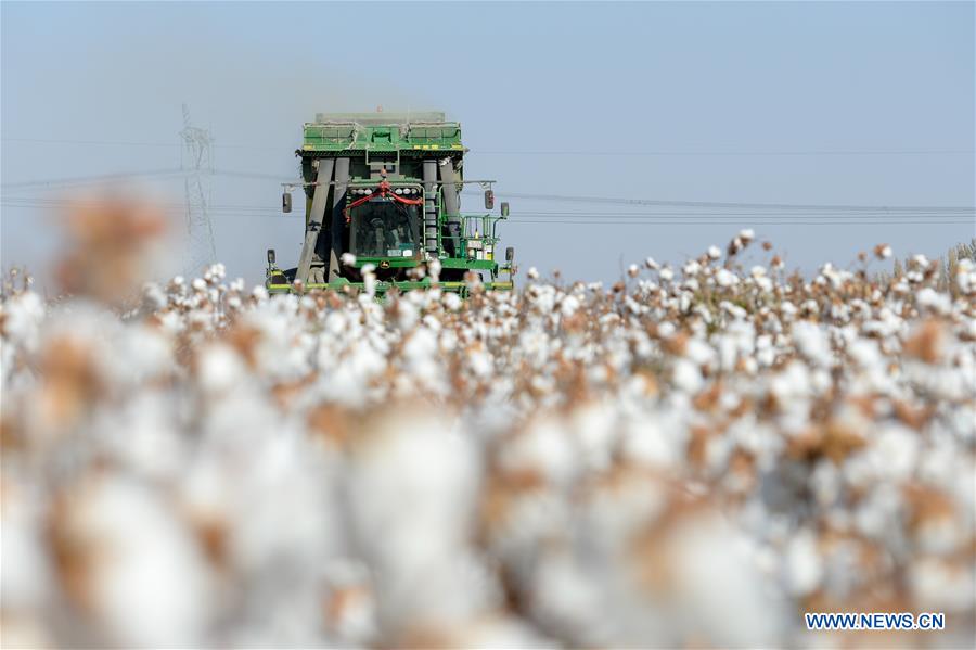 CHINA-XINJIANG-TIANSHAN MOUNTAINS-HARVEST (CN)