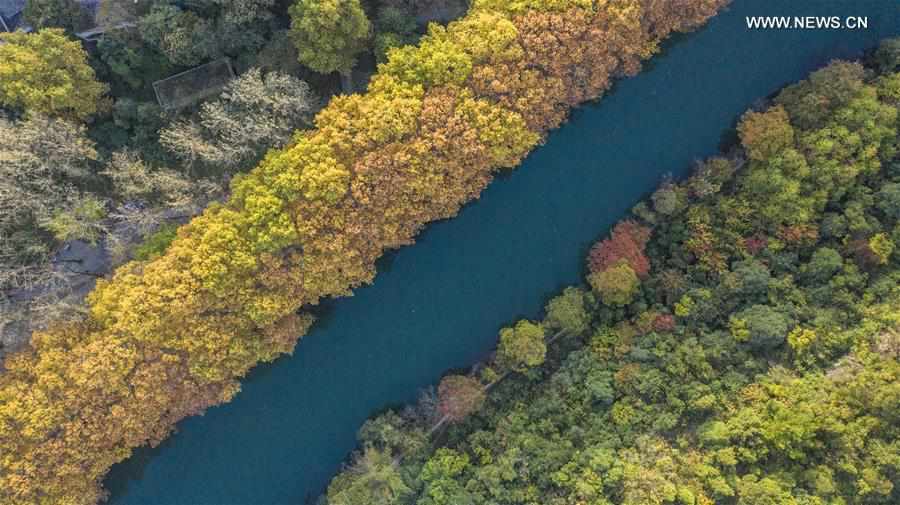 CHINA-GUIYANG-AUTUMN SCENERY (CN)