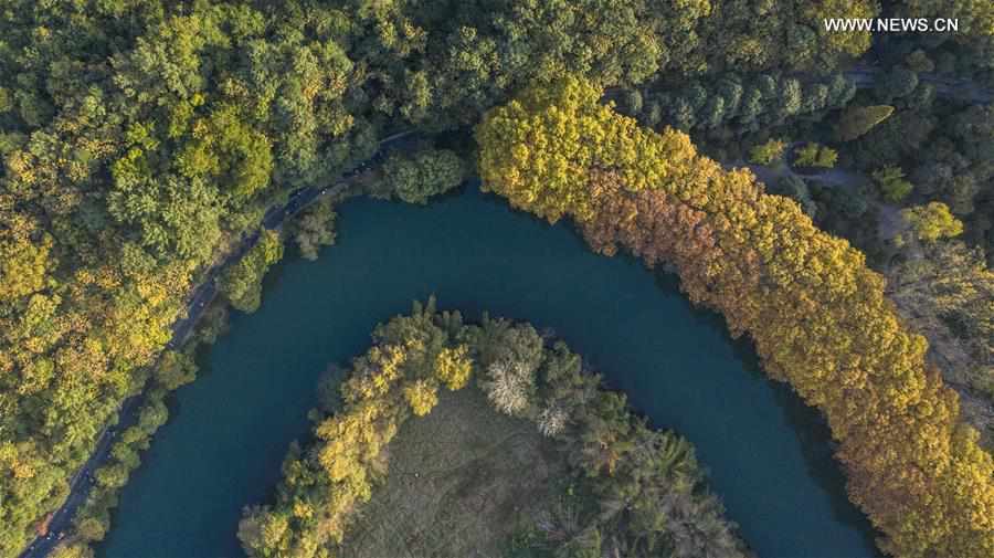 CHINA-GUIYANG-AUTUMN SCENERY (CN)