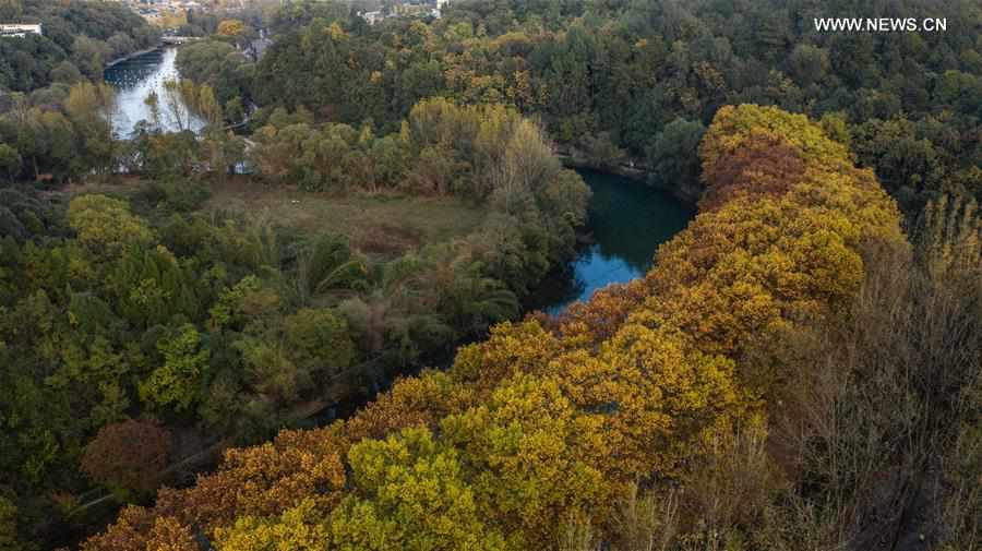 CHINA-GUIYANG-AUTUMN SCENERY (CN)