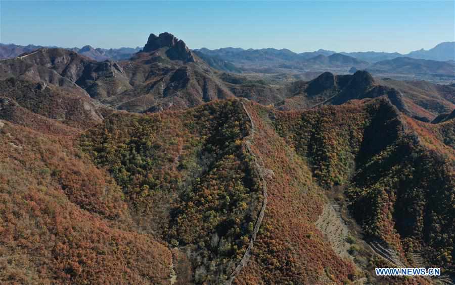 CHINA-HEBEI-BANCHANGYU GREAT WALL-AUTUMN SCENERY (CN)