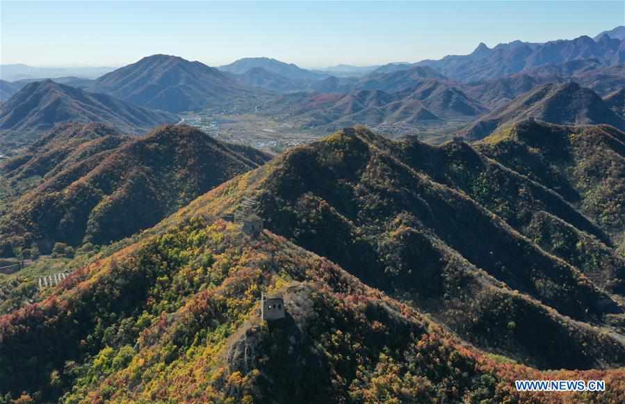 CHINA-HEBEI-BANCHANGYU GREAT WALL-AUTUMN SCENERY (CN)