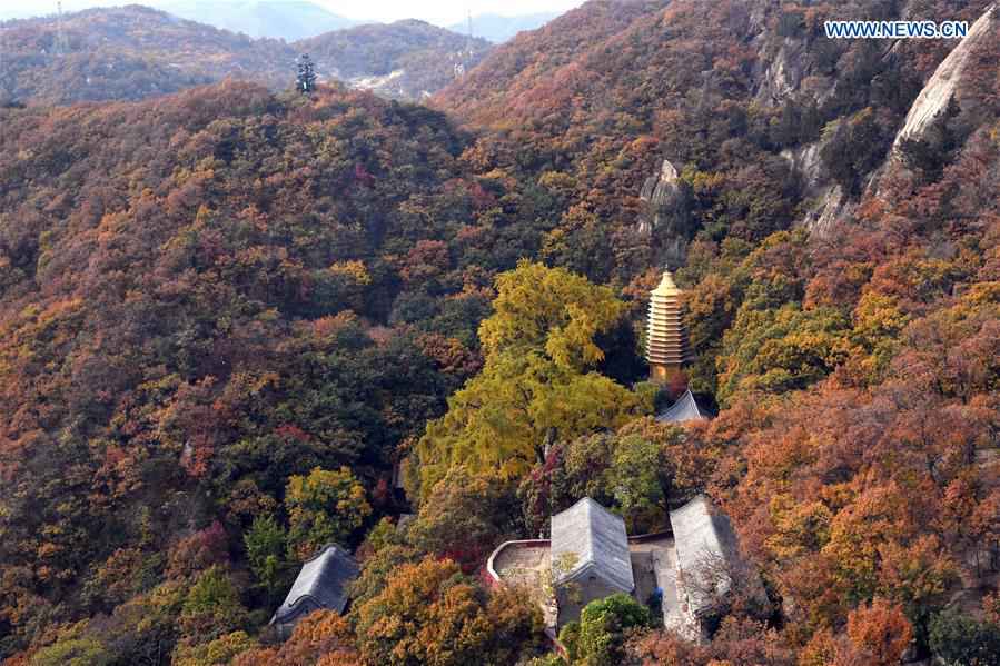 CHINA-TIANJIN-PANSHAN-AUTUMN-SCENERY (CN)