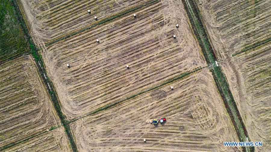 CHINA-JIANGXI-NANCHANG-STRAW RECYCLING (CN)