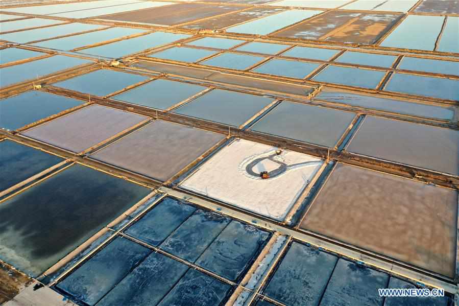 #CHINA-SHANDONG-QINGDAO-SEA SALT-HARVEST (CN)