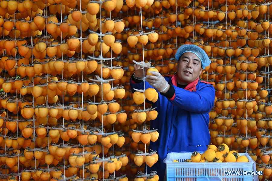 CHINA-SHAANXI-DRIED PERSIMMONS (CN)