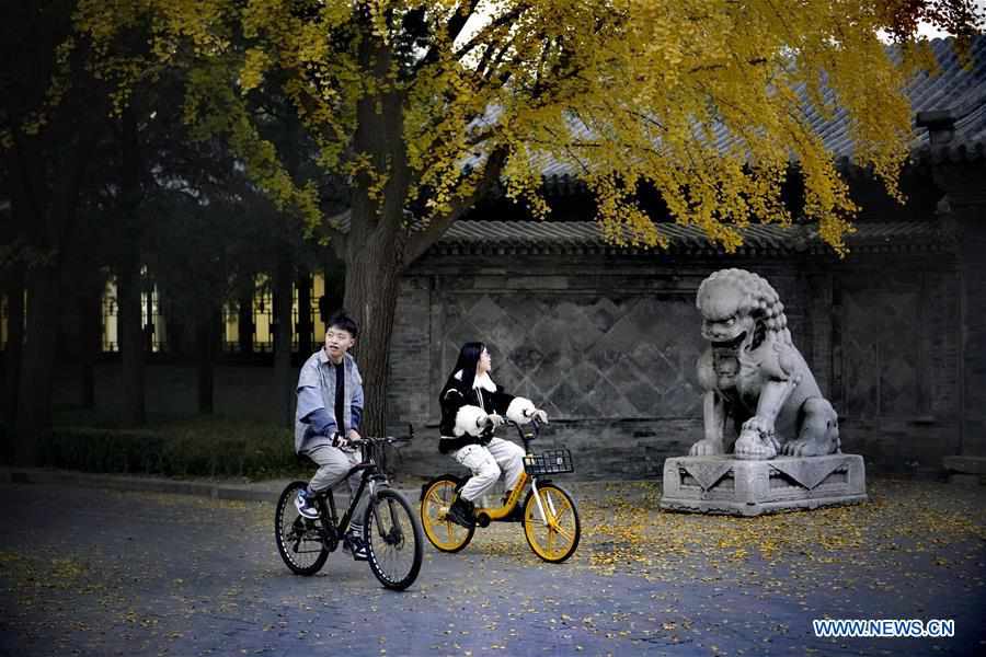 CHINA-BEIJING-TSINGHUA UNIVERSITY-CAMPUS-AUTUMN (CN)