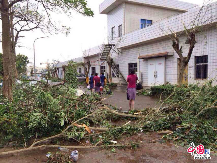 台风过境后的海口:校车被吹侧翻 工地塔吊欲坠