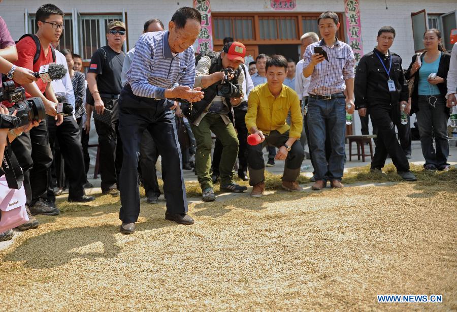 CHINA-HUNAN-HYBRID RICE-PRODUCTION-RECORD (CN)