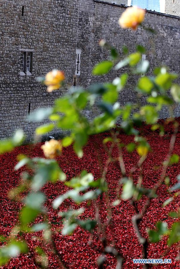 BRITAIN-LONDON-TOWER OF LONDON-COMMEMORATION-WWI-POPPIES