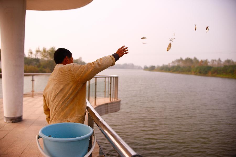 CHINA-ANHUI-TONGLING-FRESHWATER DOLPHINS (CN)