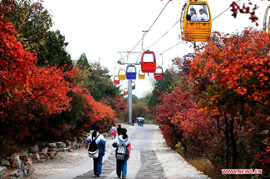 Visitors enjoy the autumn scenery at the Xi Shan National Forest Park in Beijing, capital of China, Oct. 23, 2014. (Xinhua/Li Jundong) 