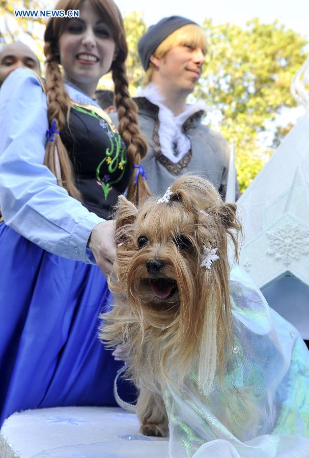 Annual Halloween Dog Parade held in NYC