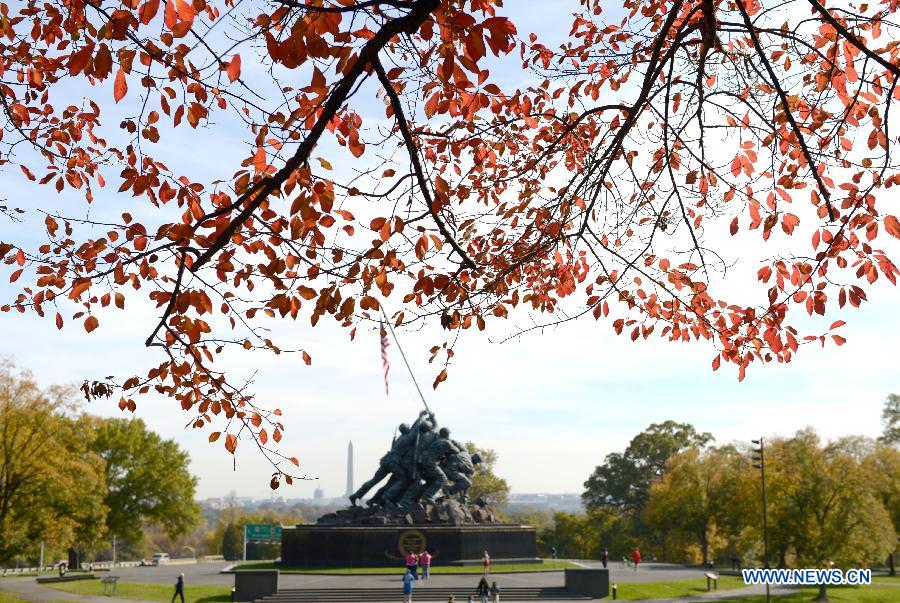 In pictures: fall foliage in in Washington D.C., capital of US