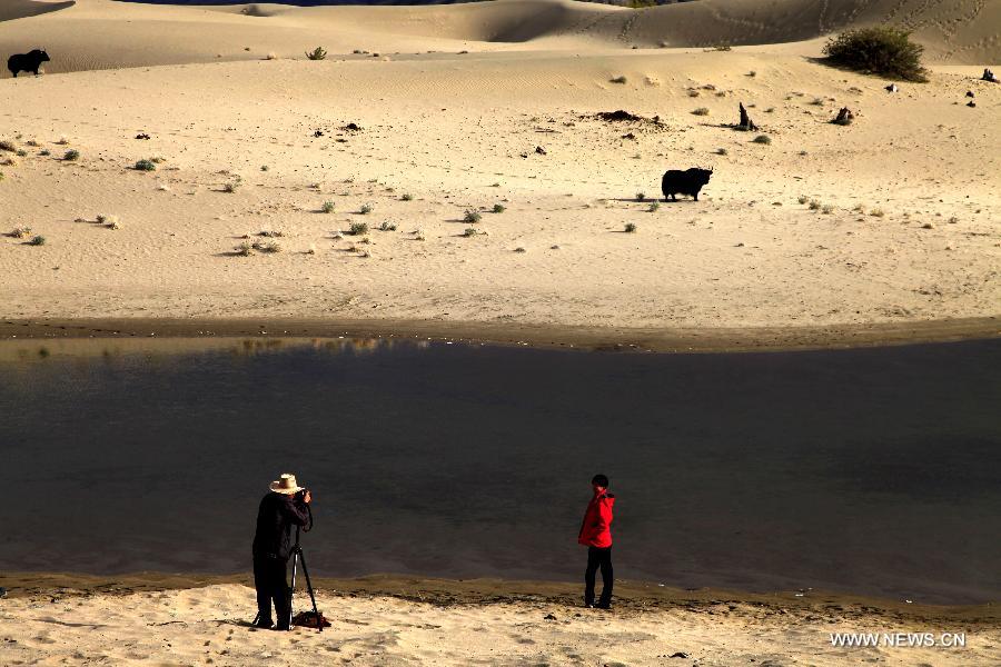 Tourists take photos on a tidal wetland in Gonggar County, southwest China's Tibet Autonomous Region, Oct. 25, 2014. (Xinhua/Pan Xu)  