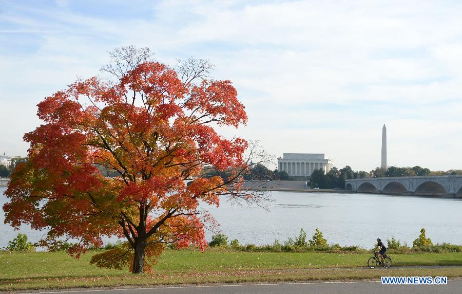 In pictures: fall foliage in in Washington D.C., capital of US