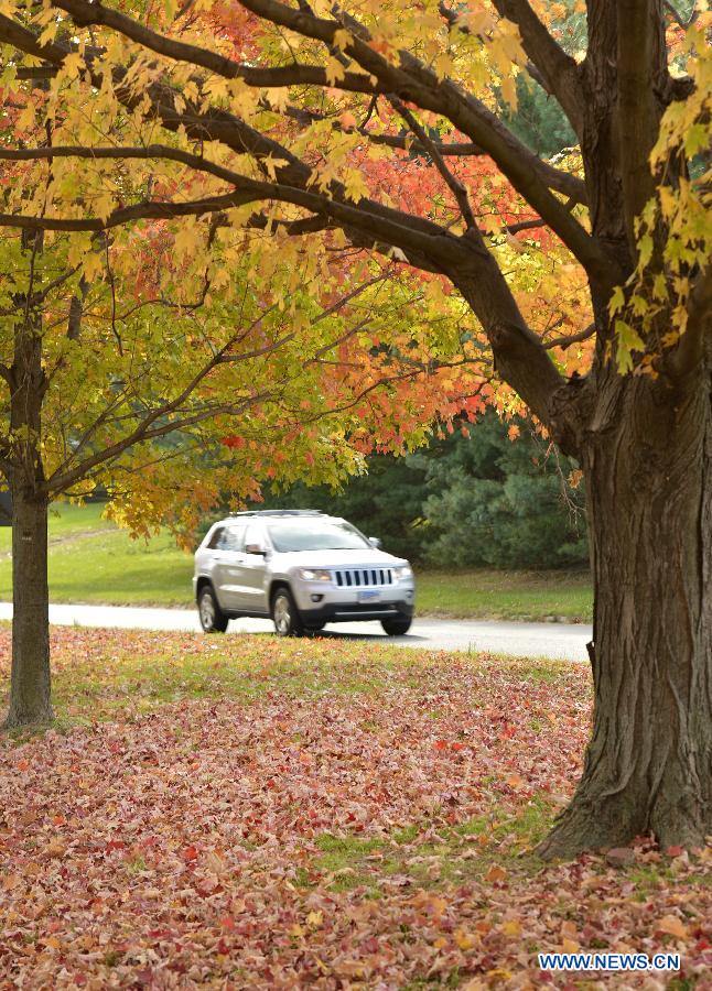 In pictures: fall foliage in in Washington D.C., capital of US