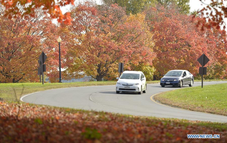 In pictures: fall foliage in in Washington D.C., capital of US