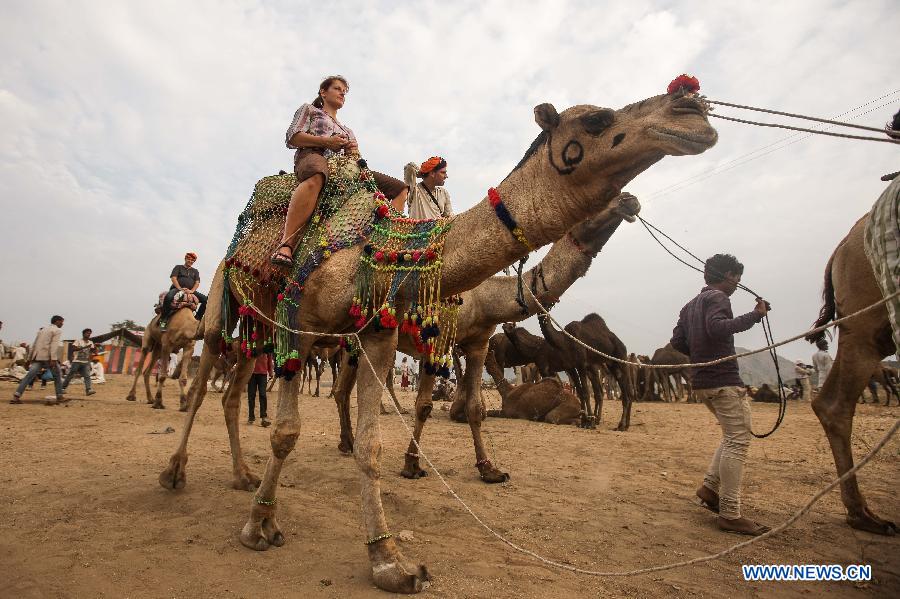 Tourists ride on camels at a camel market on the day before the Camel Festival in Pushkar of Rajasthan, India, Oct. 30, 2014. 