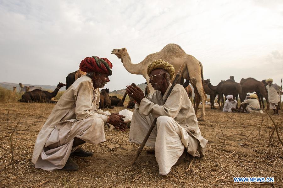 Two men chat at a camel market on the day before the Camel Festival in Pushkar of Rajasthan, India, Oct. 30, 2014.