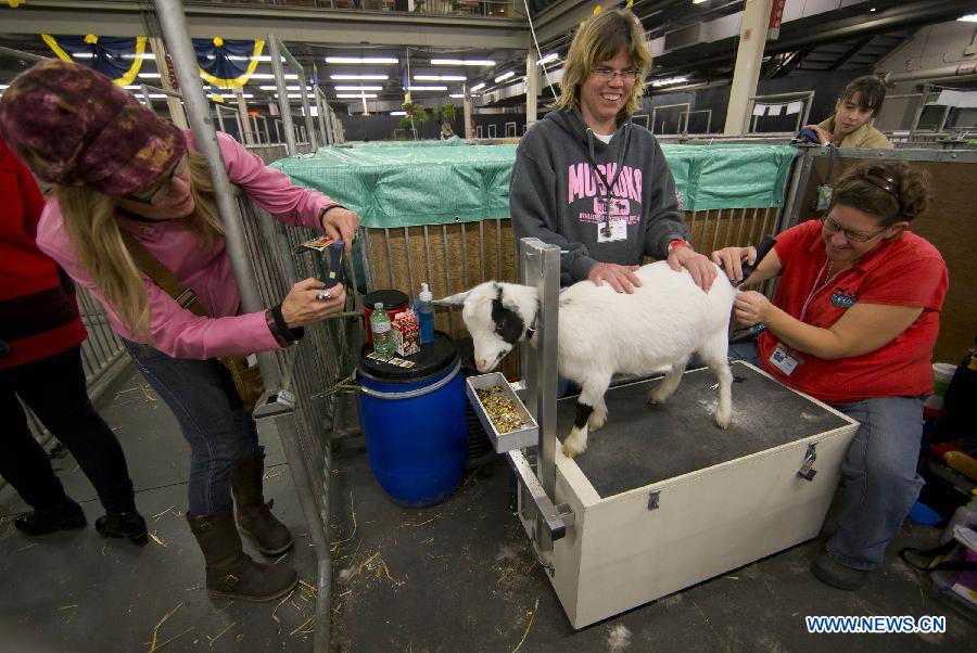 CANADA-TORONTO-AGRICULTURAL WINTER FAIR