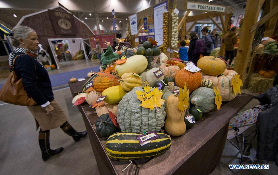 CANADA-TORONTO-AGRICULTURAL WINTER FAIR