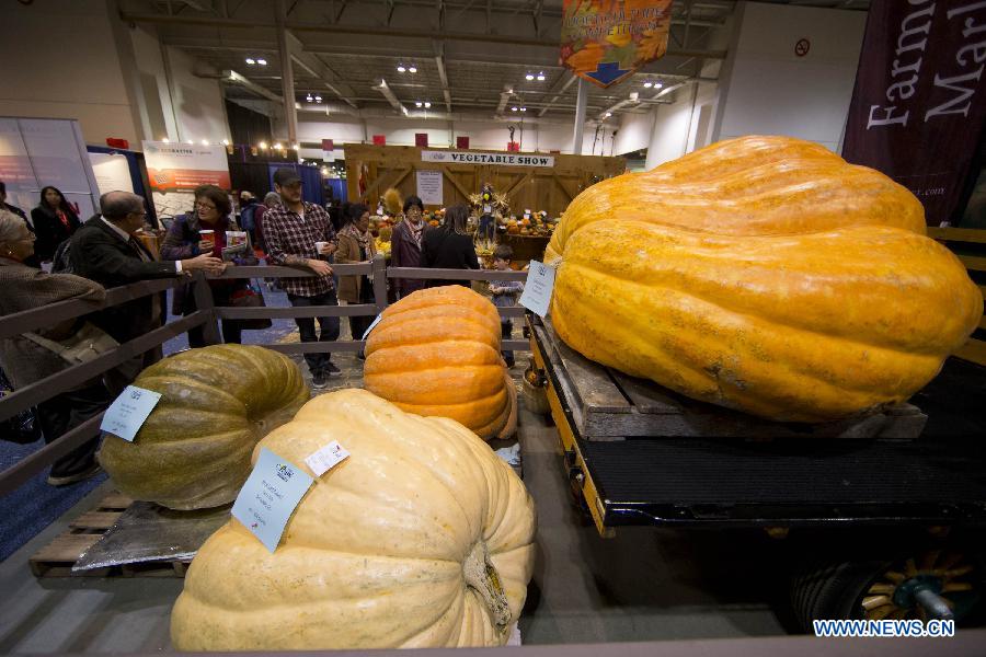 CANADA-TORONTO-AGRICULTURAL WINTER FAIR