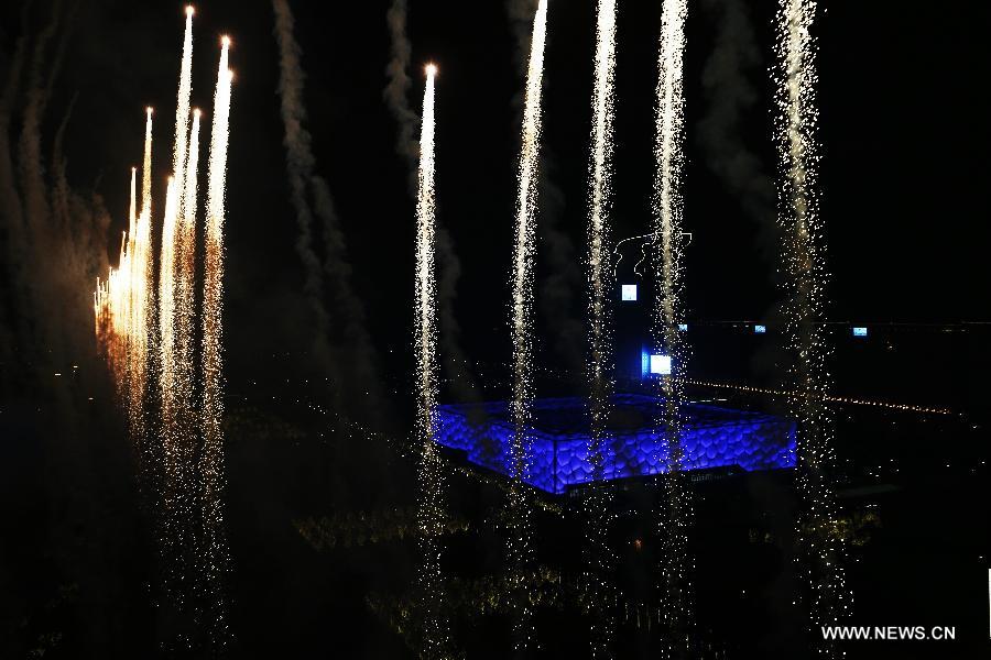 A firework show is staged at Olympic Park in Beijing, capital of China, Nov. 10, 2014. The 22nd Asia-Pacific Economic Cooperation (APEC) Economic Leaders' Meeting takes place in Beijing from Nov. 10 to 11. 