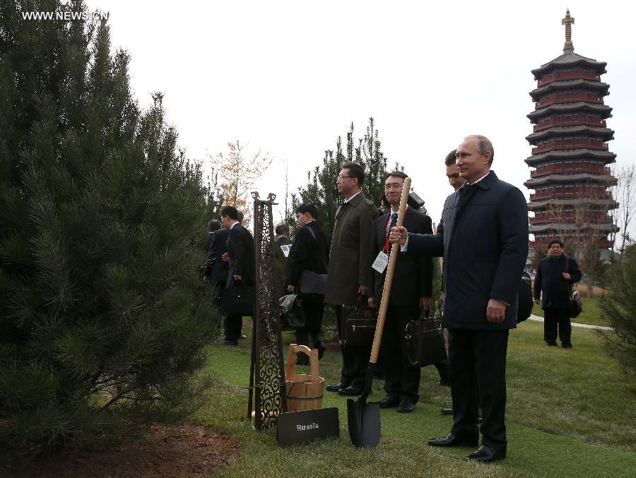 (APEC 2014) CHINA-BEIJING-ECONOMIC LEADERS’ MEETING-TREES (CN)