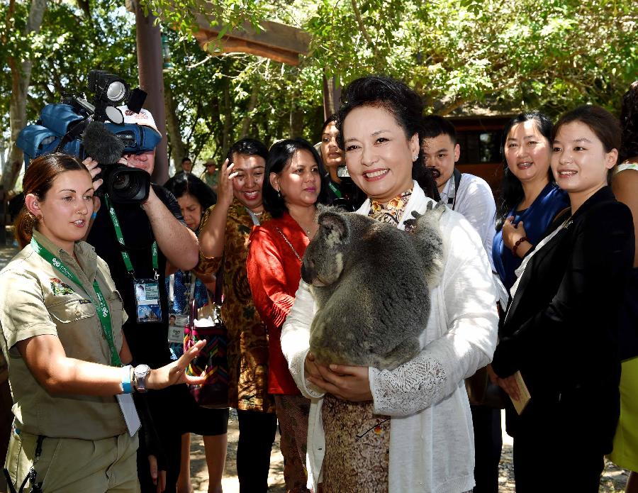 AUSTRALIA-BRISBANE-PENG LIYUAN-KOALA ZOO-VISIT