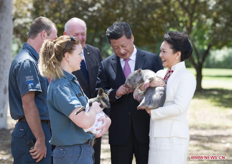 Chinese President Xi Jinping (2nd R), his wife Peng Liyuan (R), holding a wombat, and Australian Governor-General Peter Cosgrove (3rd R) share a light moment at the Government House in Canberra, capital of Australia, Nov. 17, 2014.