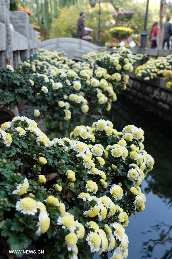 CHINA-SHANDONG-JINAN-FLOWERS (CN) 