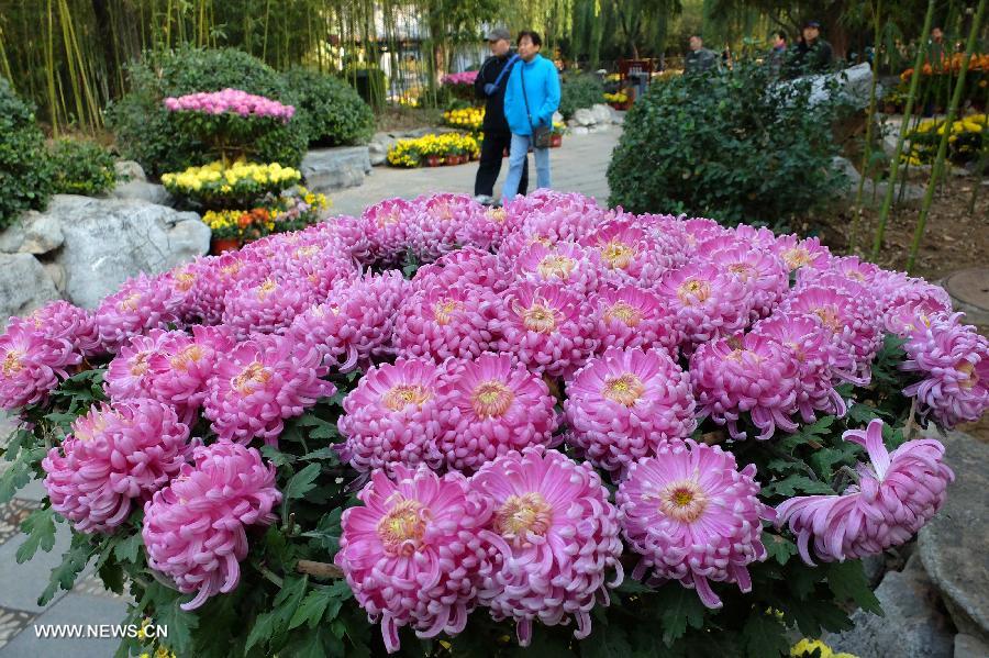 CHINA-SHANDONG-JINAN-FLOWERS (CN) 